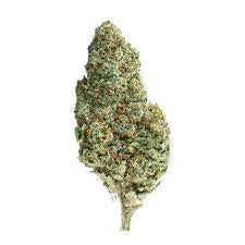 Amnesia CBD [Interieur]
