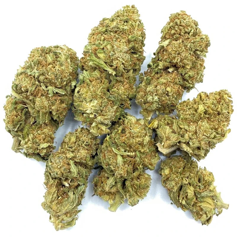 White Widow [Intérieur]