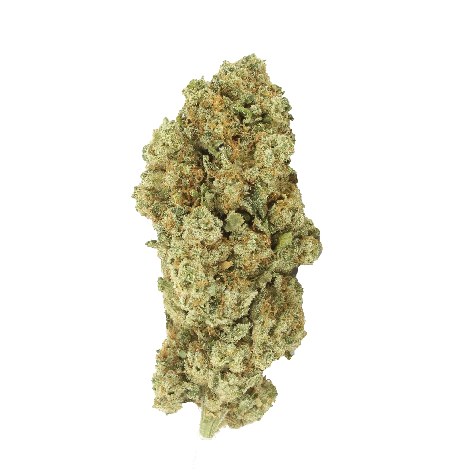 White Widow [Intérieur]