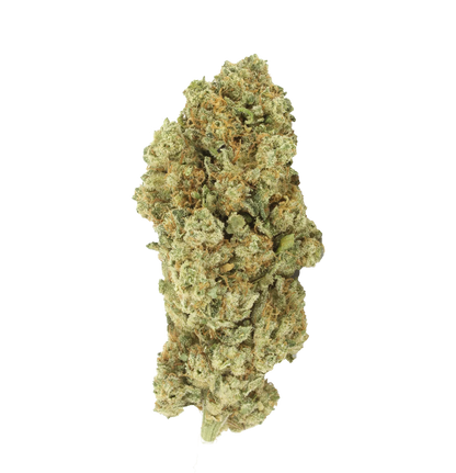 White Widow [Intérieur]