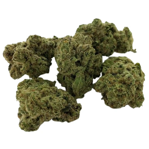 Amnesia CBD [Interieur]
