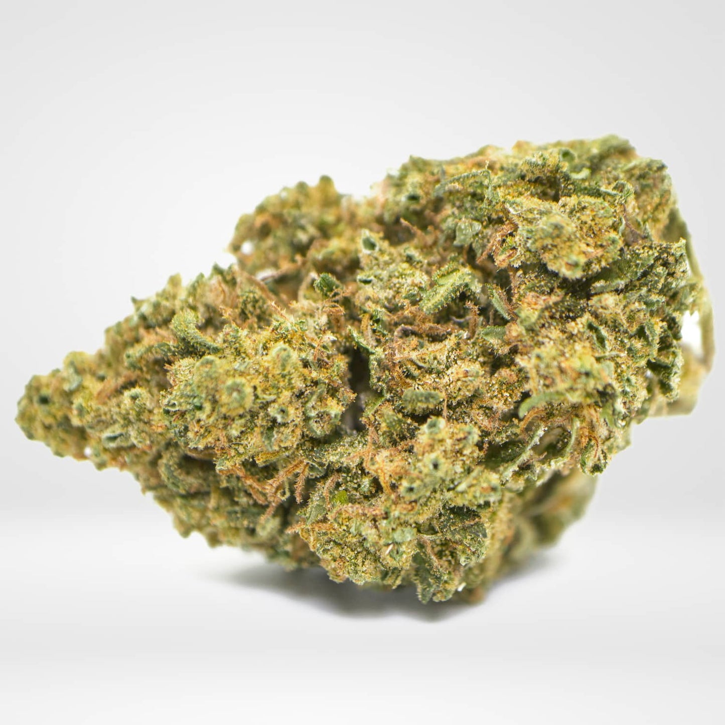 Remedy CBD Intérieure [indoor] Premium